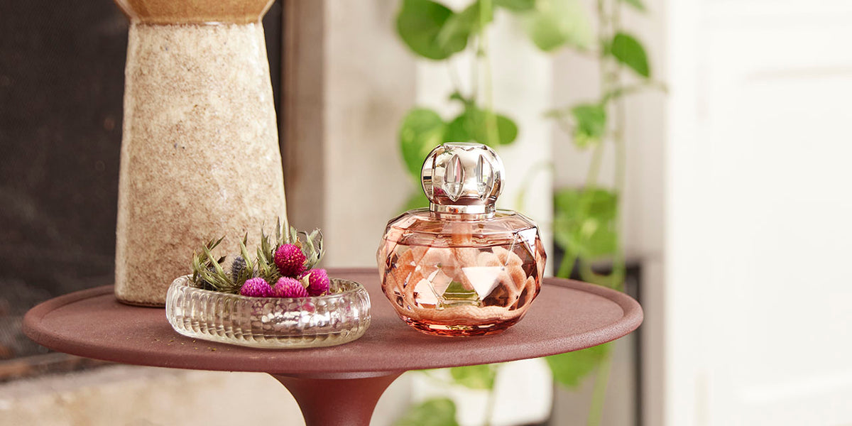 The Maison Berger Paris brand universe