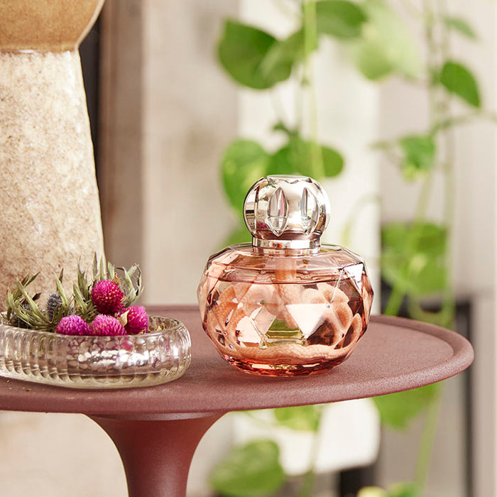 The Maison Berger Paris brand universe