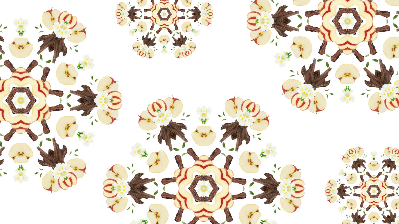 My Home Free From Pet Odours