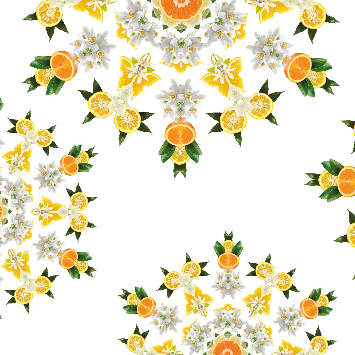 Orange Blossom