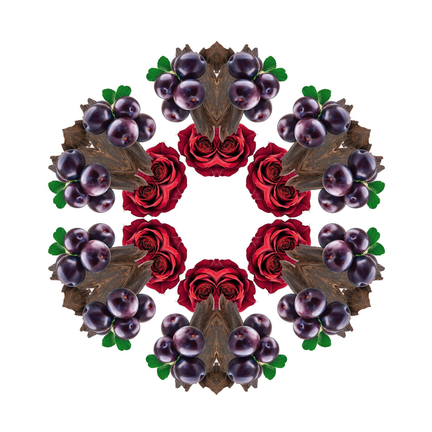 Hypnotic Oud