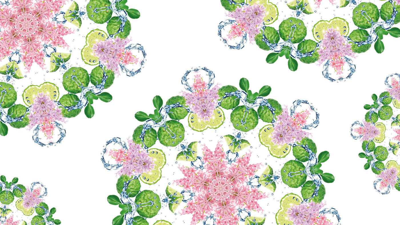 My Home Free From Musty Odours