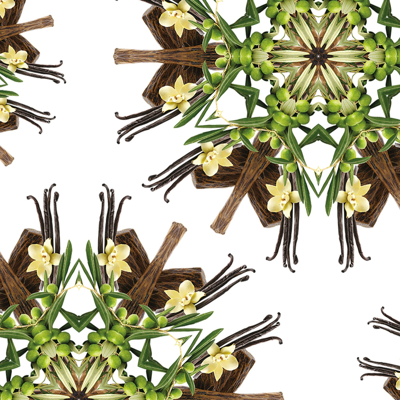 Under the Olive Tree