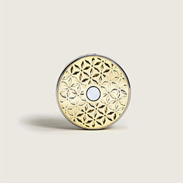 Car diffusers