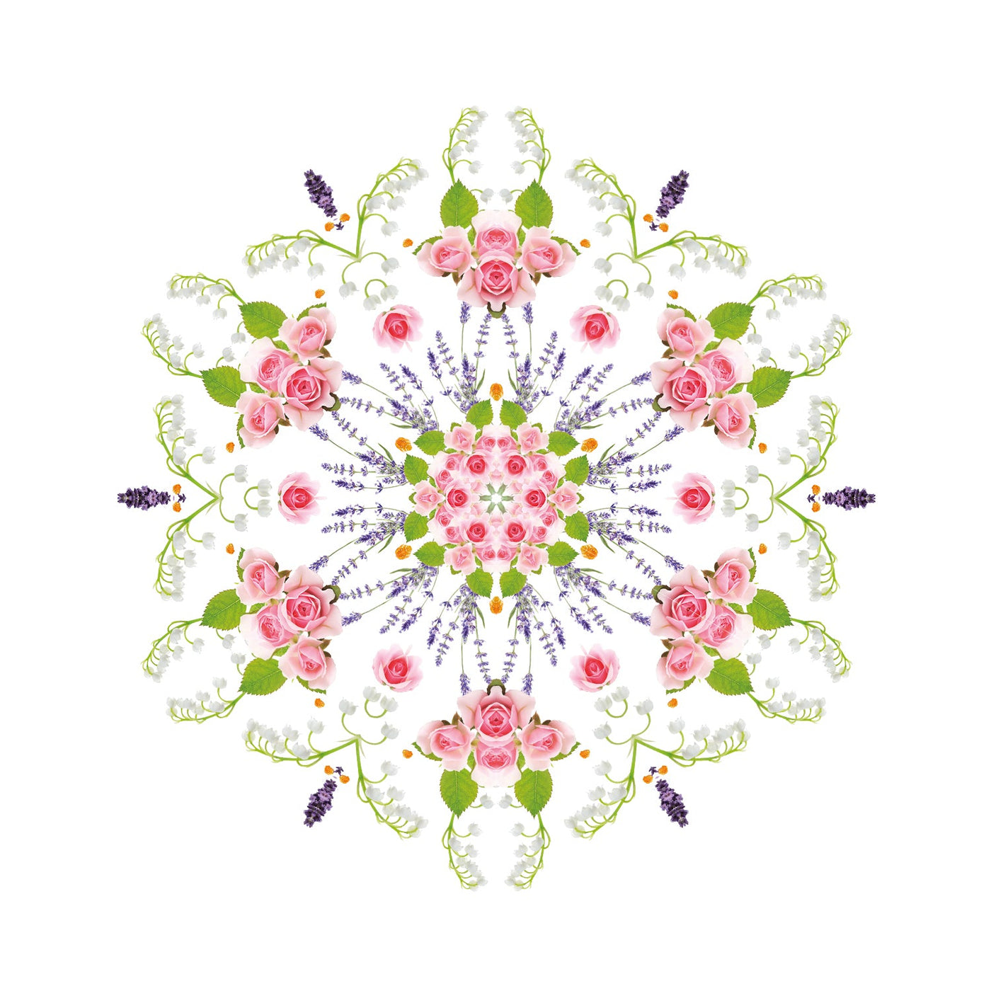 Aroma Dream