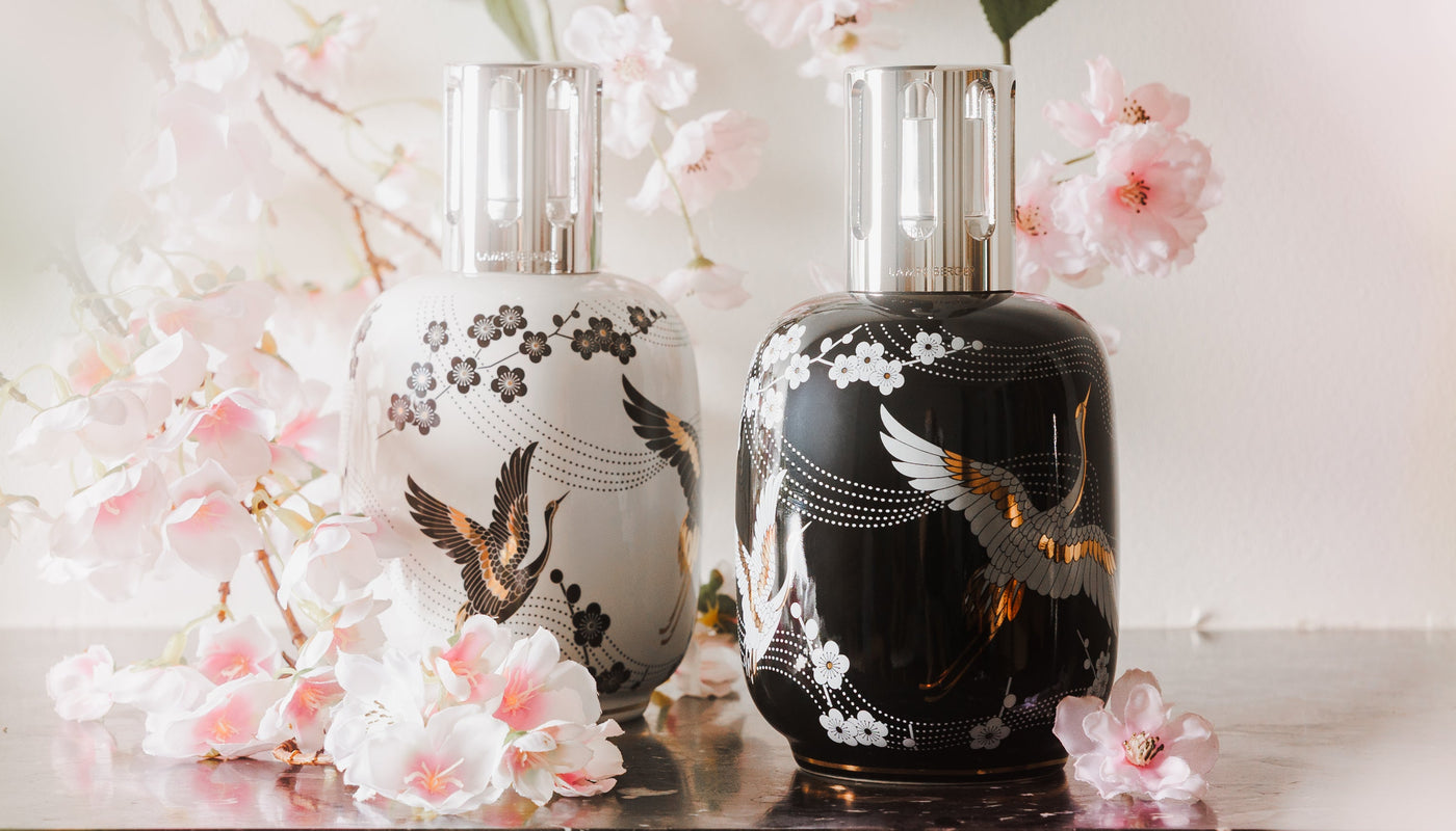 Home Fragrance Diffusers: A World of Scents Awaits You