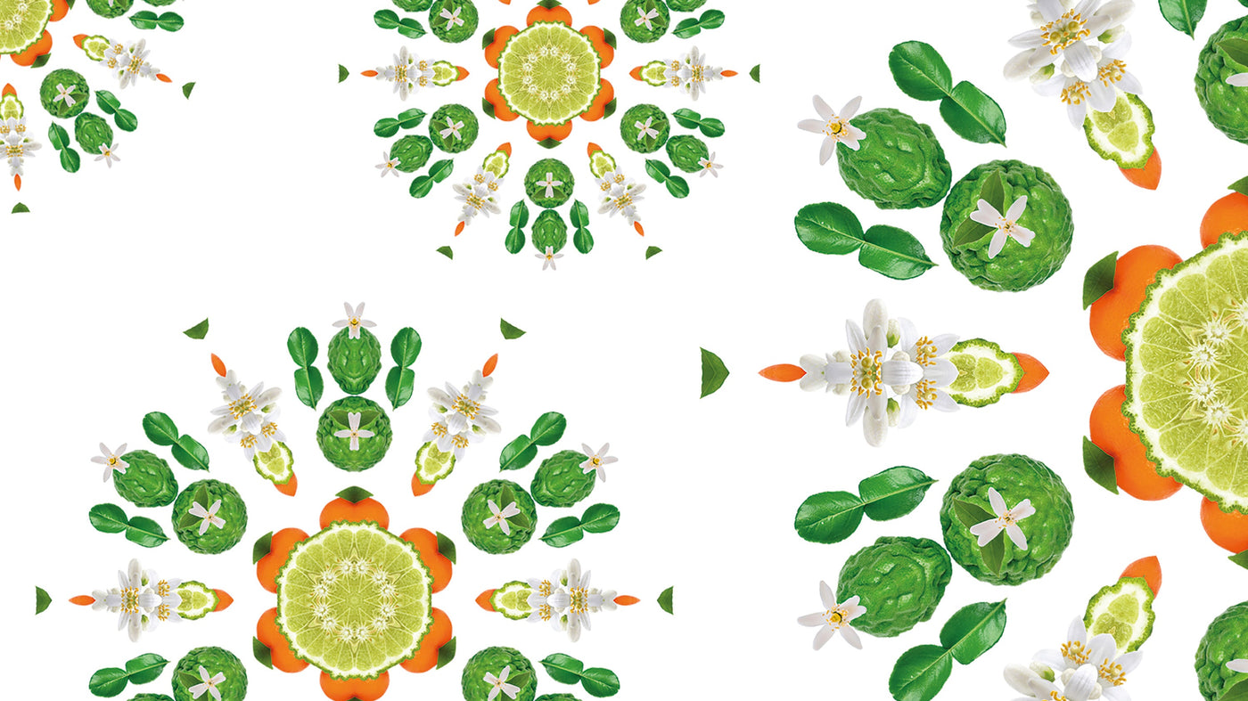 Radiant Bergamot