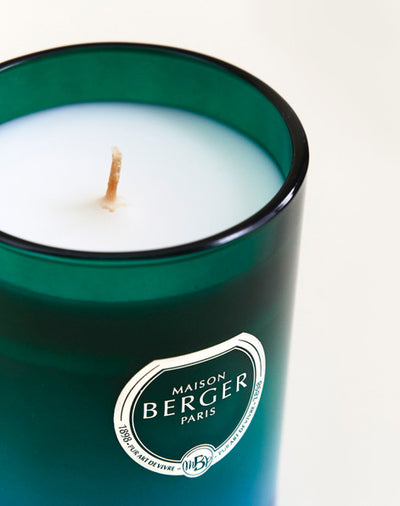 Dare Zest of Verbena Scented Candle