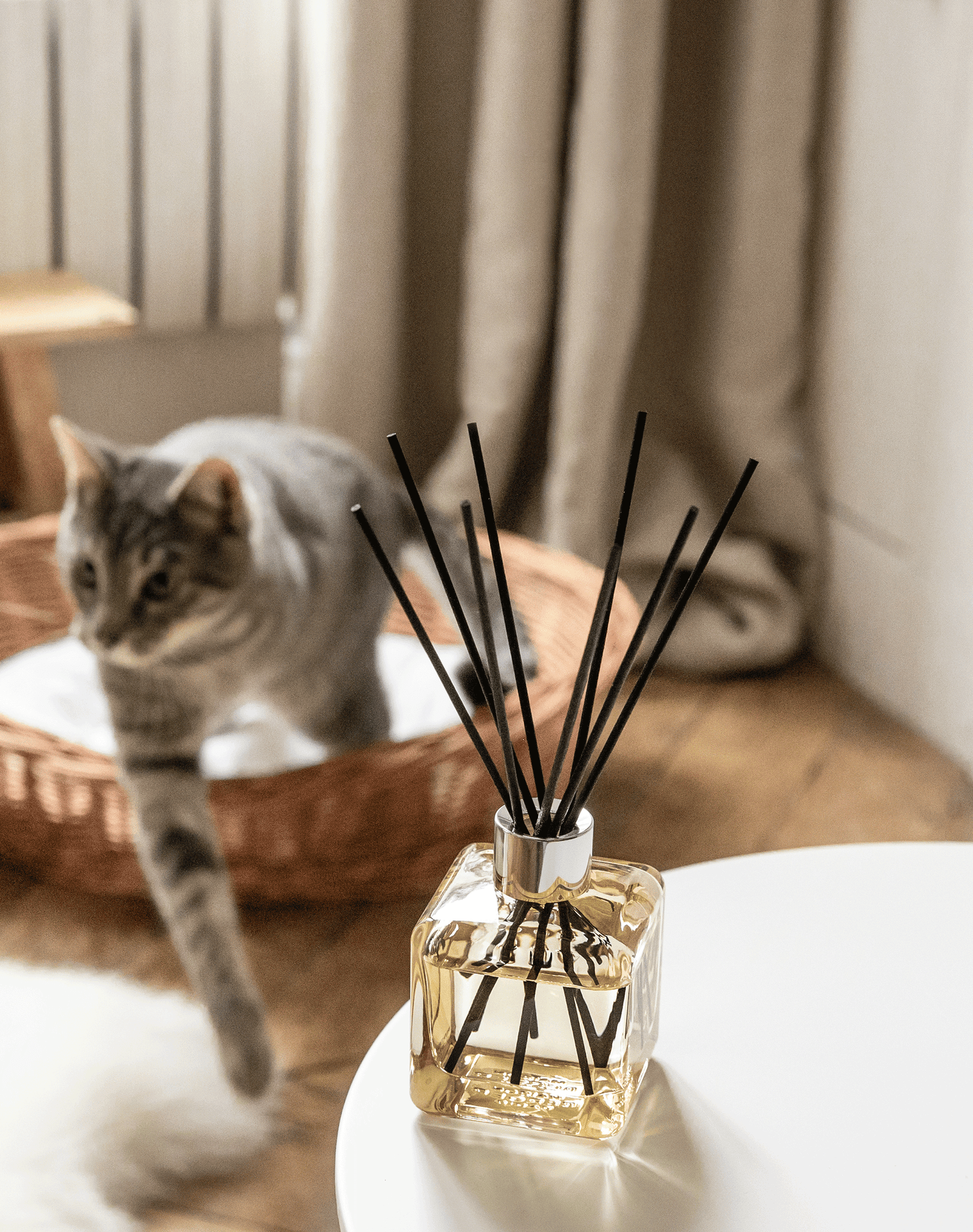 My Home Free from Pet Odours Scented Bouquet