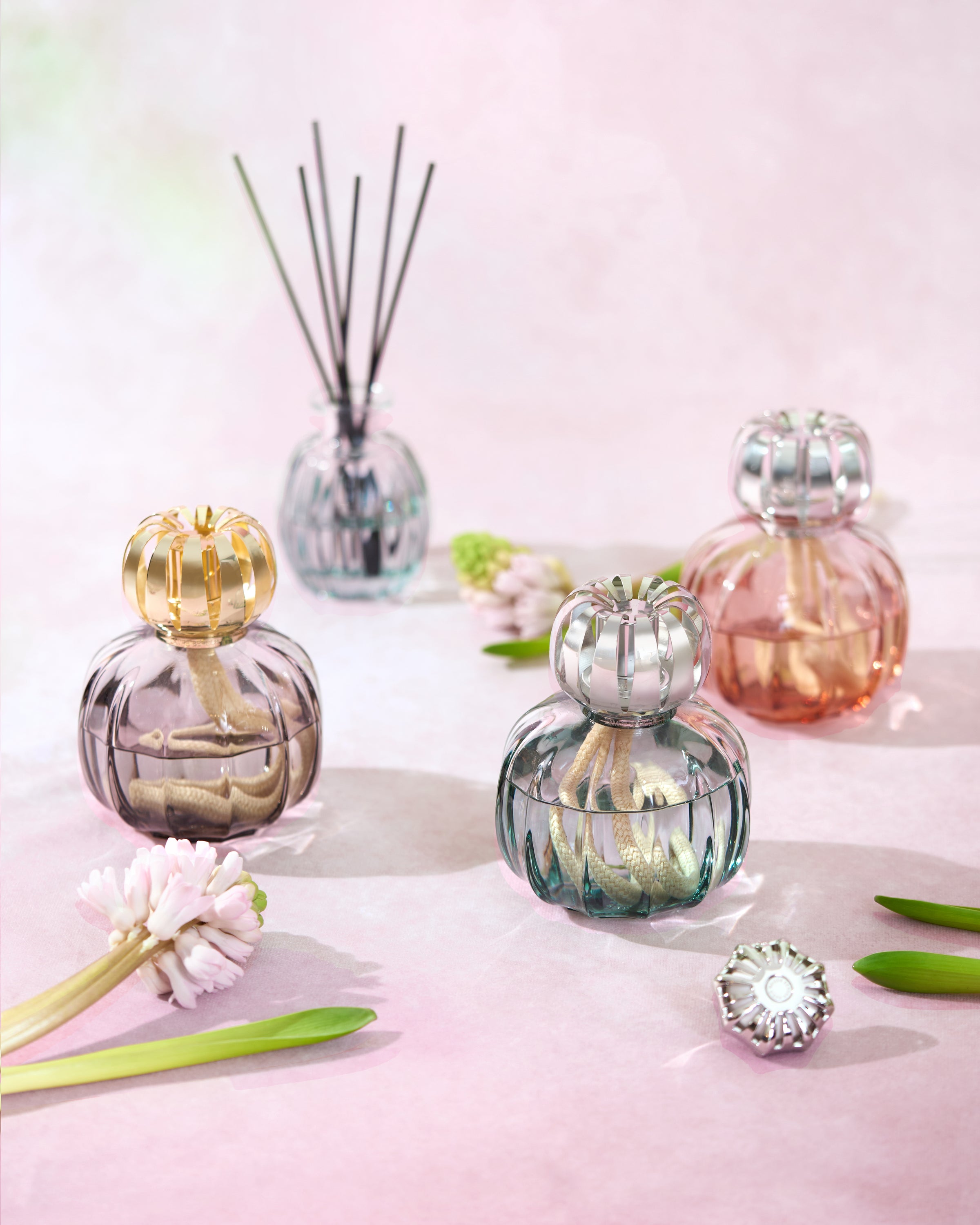 New collection : Corali